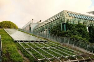 green infrastructure highlighting sustainable business growth